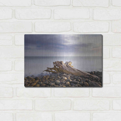 Luxe Metal Art 'Stumped' by Chris Moyer, Metal Wall Art,16x12