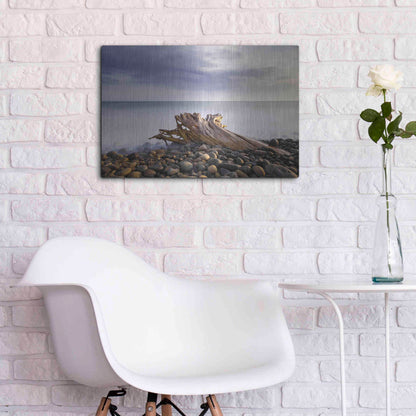 Luxe Metal Art 'Stumped' by Chris Moyer, Metal Wall Art,24x16