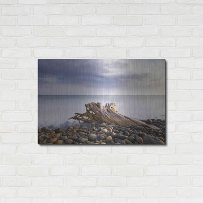 Luxe Metal Art 'Stumped' by Chris Moyer, Metal Wall Art,36x24