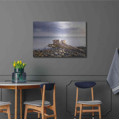 Luxe Metal Art 'Stumped' by Chris Moyer, Metal Wall Art,36x24