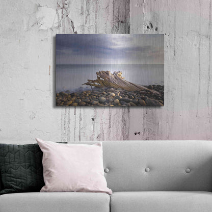 Luxe Metal Art 'Stumped' by Chris Moyer, Metal Wall Art,36x24