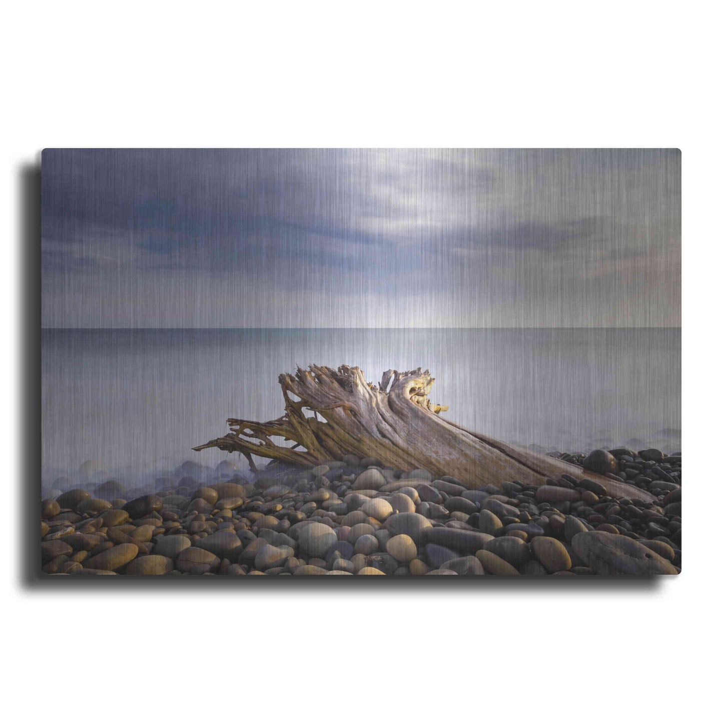 Luxe Metal Art 'Stumped' by Chris Moyer, Metal Wall Art