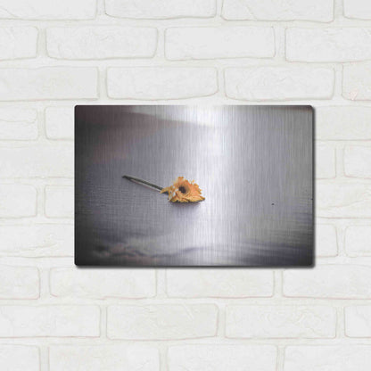 Luxe Metal Art 'Even Daisies Have Bad Days' by Chris Moyer, Metal Wall Art,16x12