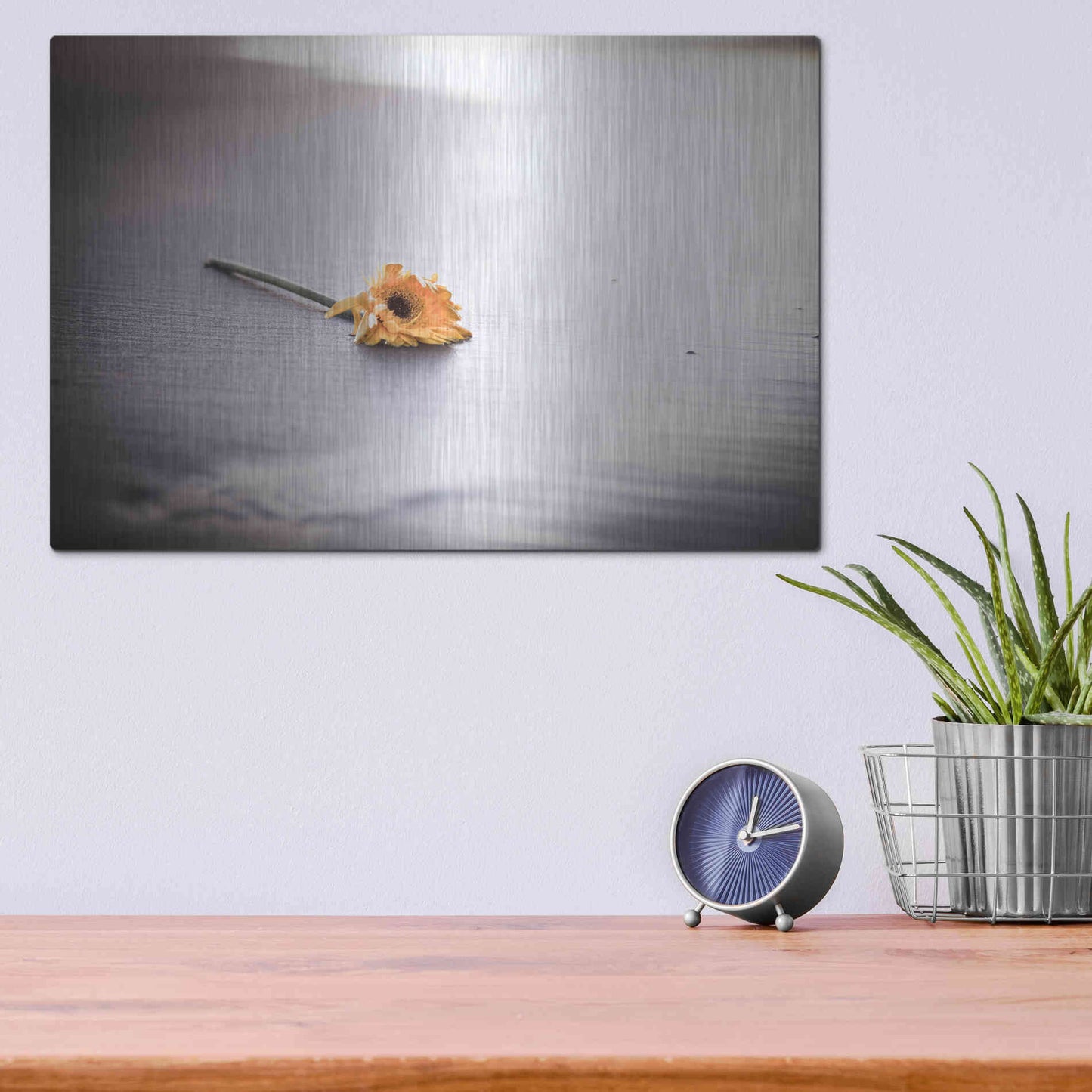 Luxe Metal Art 'Even Daisies Have Bad Days' by Chris Moyer, Metal Wall Art,16x12