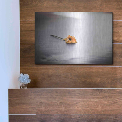 Luxe Metal Art 'Even Daisies Have Bad Days' by Chris Moyer, Metal Wall Art,16x12