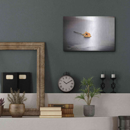 Luxe Metal Art 'Even Daisies Have Bad Days' by Chris Moyer, Metal Wall Art,16x12