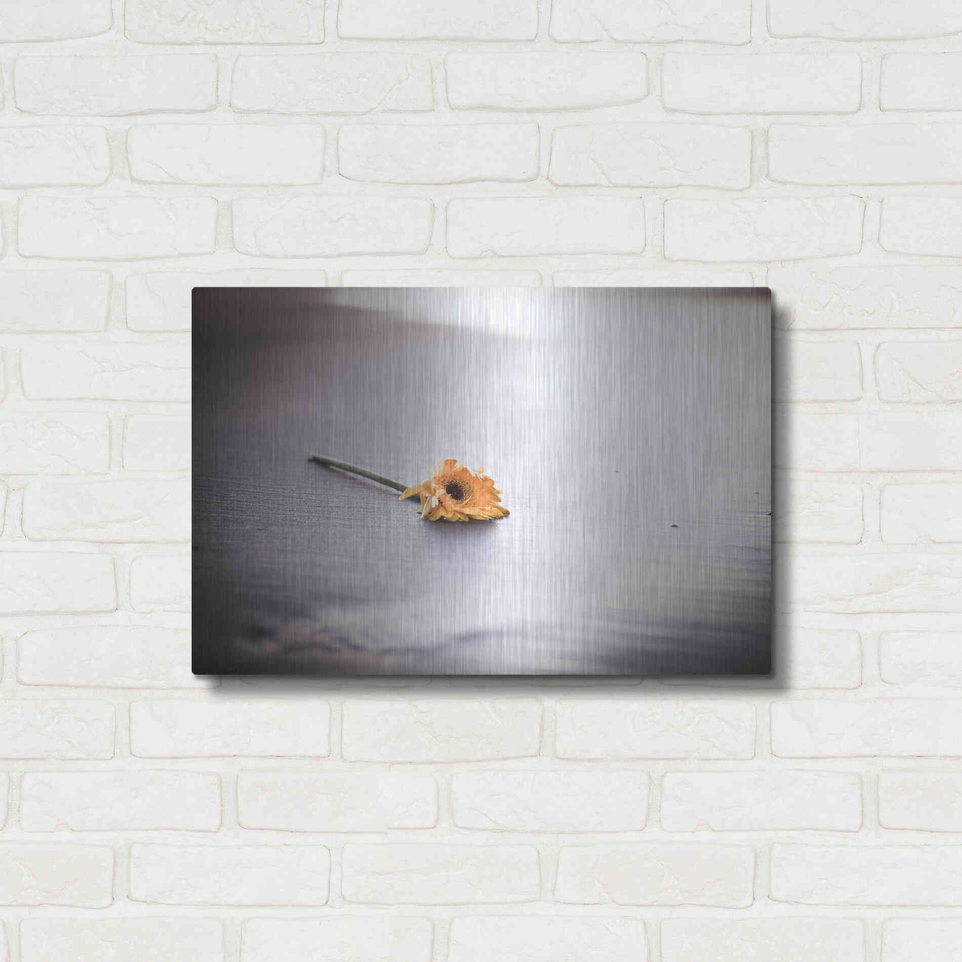 Luxe Metal Art 'Even Daisies Have Bad Days' by Chris Moyer, Metal Wall Art,24x16