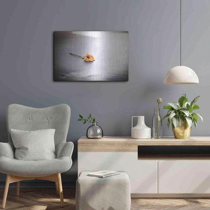 Luxe Metal Art 'Even Daisies Have Bad Days' by Chris Moyer, Metal Wall Art,24x16