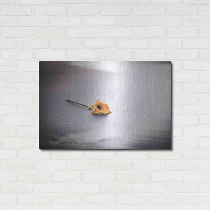 Luxe Metal Art 'Even Daisies Have Bad Days' by Chris Moyer, Metal Wall Art,36x24