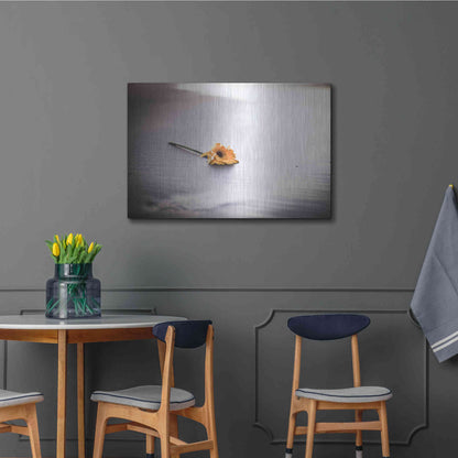 Luxe Metal Art 'Even Daisies Have Bad Days' by Chris Moyer, Metal Wall Art,36x24