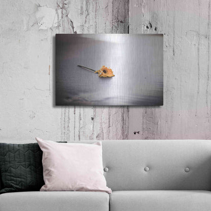 Luxe Metal Art 'Even Daisies Have Bad Days' by Chris Moyer, Metal Wall Art,36x24