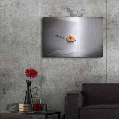 Luxe Metal Art 'Even Daisies Have Bad Days' by Chris Moyer, Metal Wall Art,36x24