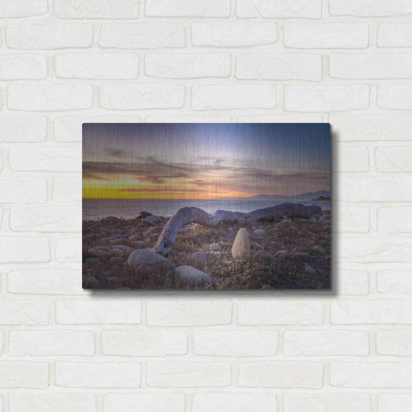 Luxe Metal Art 'Driftwood January' by Chris Moyer, Metal Wall Art,24x16