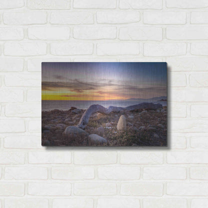 Luxe Metal Art 'Driftwood January' by Chris Moyer, Metal Wall Art,24x16