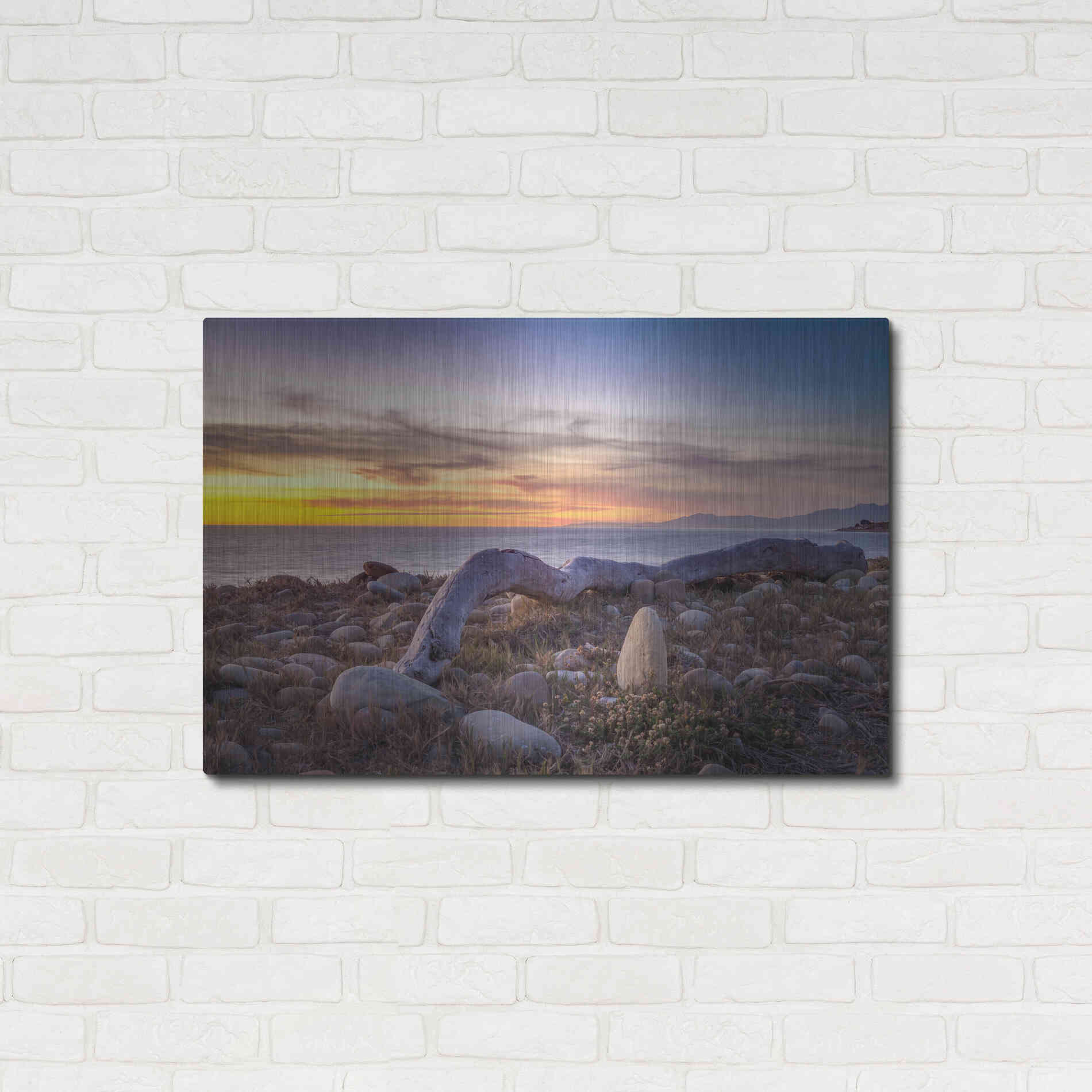 Luxe Metal Art 'Driftwood January' by Chris Moyer, Metal Wall Art,36x24