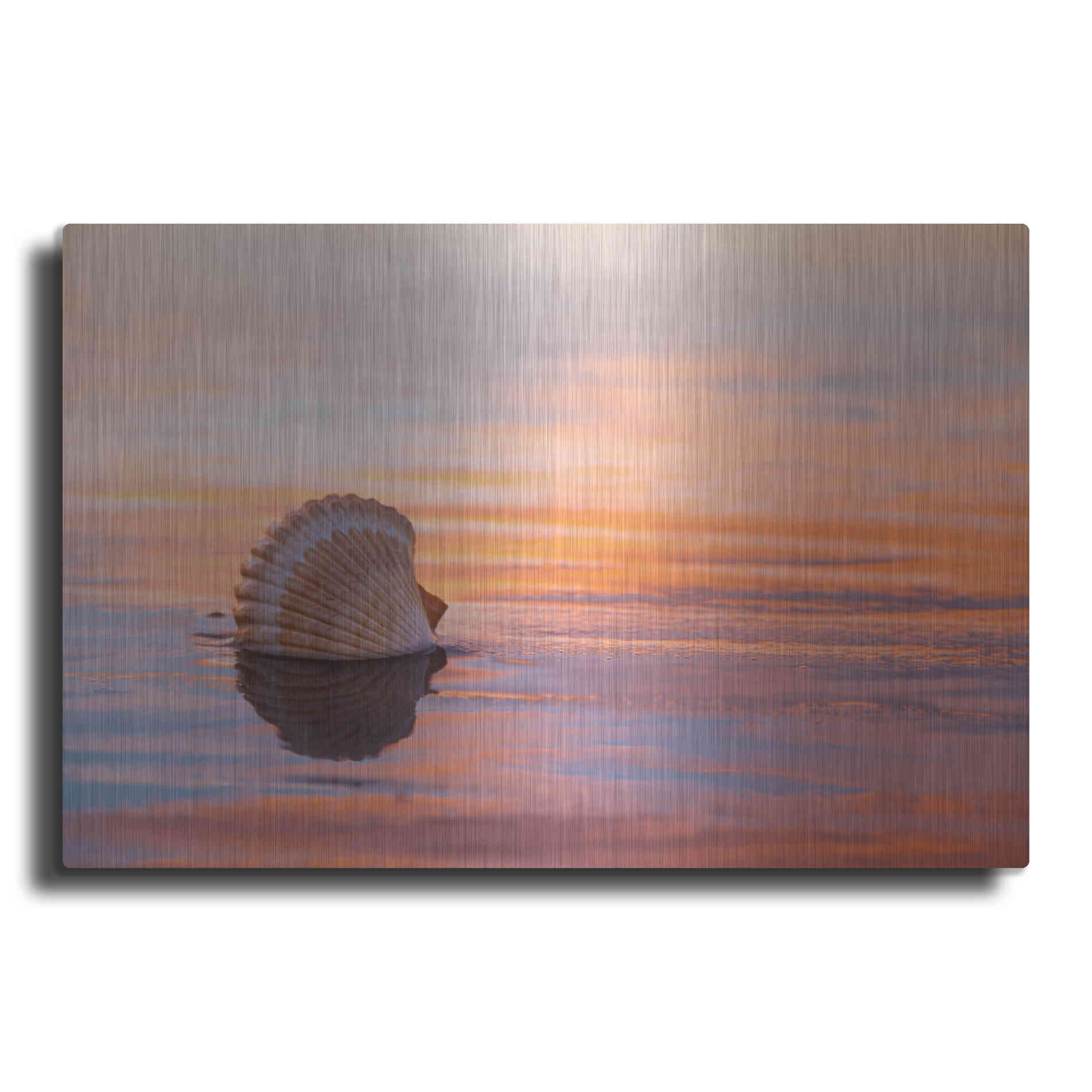 Luxe Metal Art 'Shellflection' by Chris Moyer, Metal Wall Art