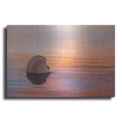 Luxe Metal Art 'Shellflection' by Chris Moyer, Metal Wall Art