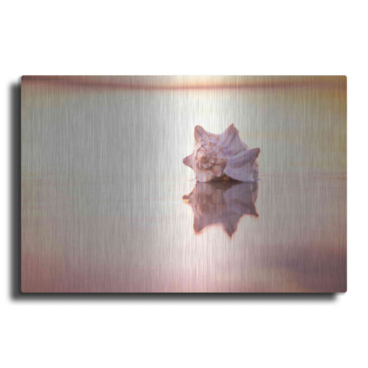 Luxe Metal Art 'King of the Beach' by Chris Moyer, Metal Wall Art