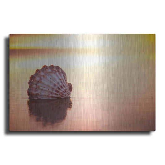 Luxe Metal Art 'Battered But Beautiful' by Chris Moyer, Metal Wall Art