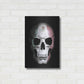 Luxe Metal Art 'Mexican Skull' by Nicklas Gustafsson, Metal Wall Art,16x24