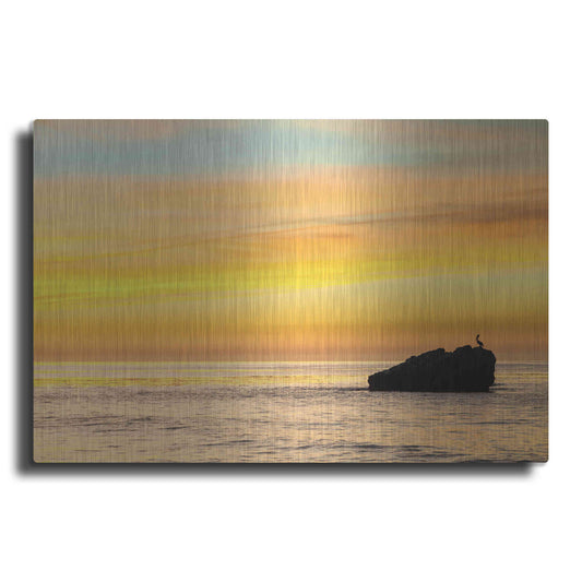 Luxe Metal Art 'Pelican Sunrise' by Chris Moyer, Metal Wall Art