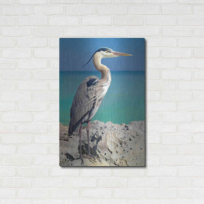 Luxe Metal Art 'Blue Heron' by Mike Jones, Metal Wall Art,24x36