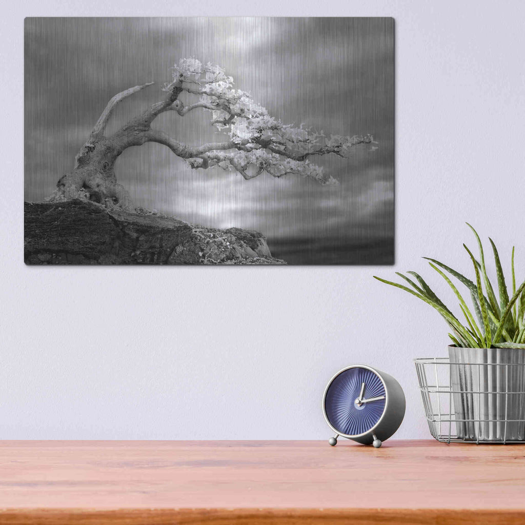 Luxe Metal Art 'Bonzai' by Mike Jones, Metal Wall Art,16x12