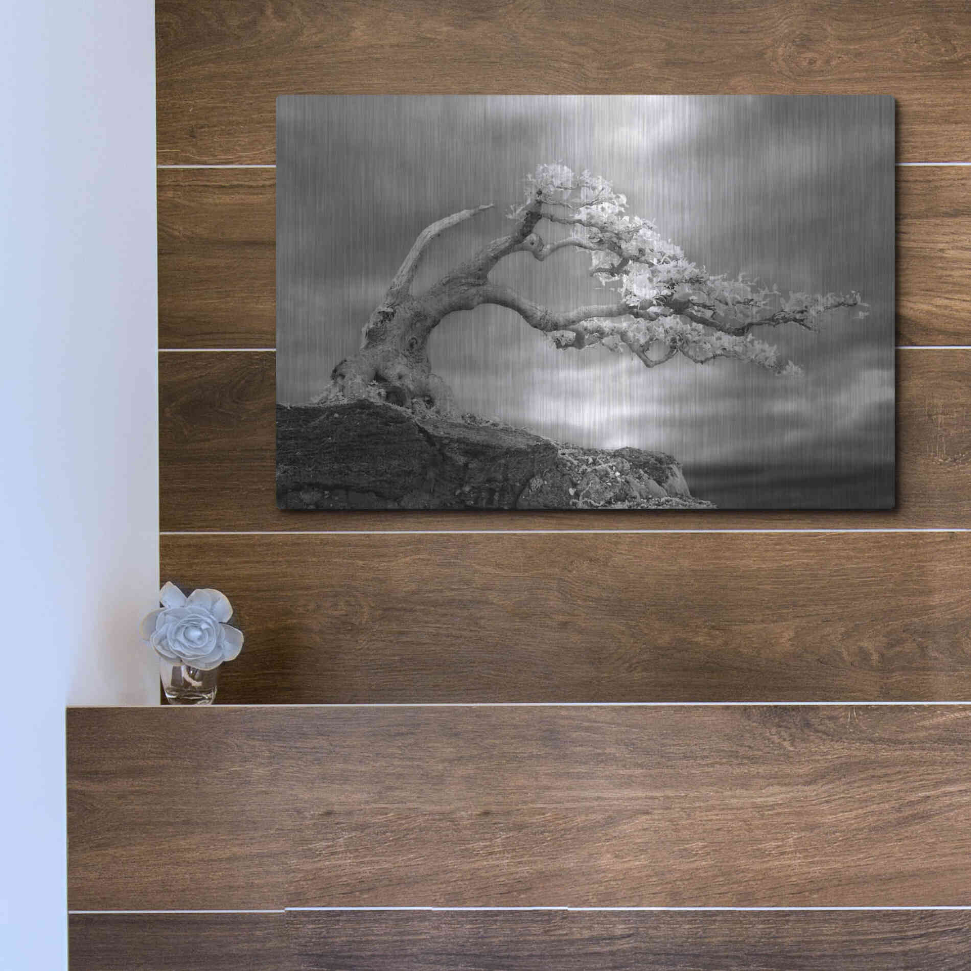 Luxe Metal Art 'Bonzai' by Mike Jones, Metal Wall Art,16x12