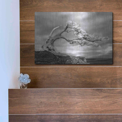 Luxe Metal Art 'Bonzai' by Mike Jones, Metal Wall Art,16x12