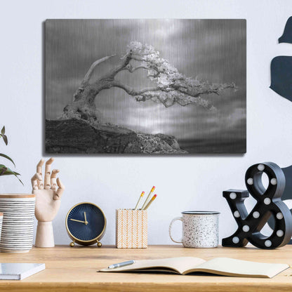 Luxe Metal Art 'Bonzai' by Mike Jones, Metal Wall Art,16x12