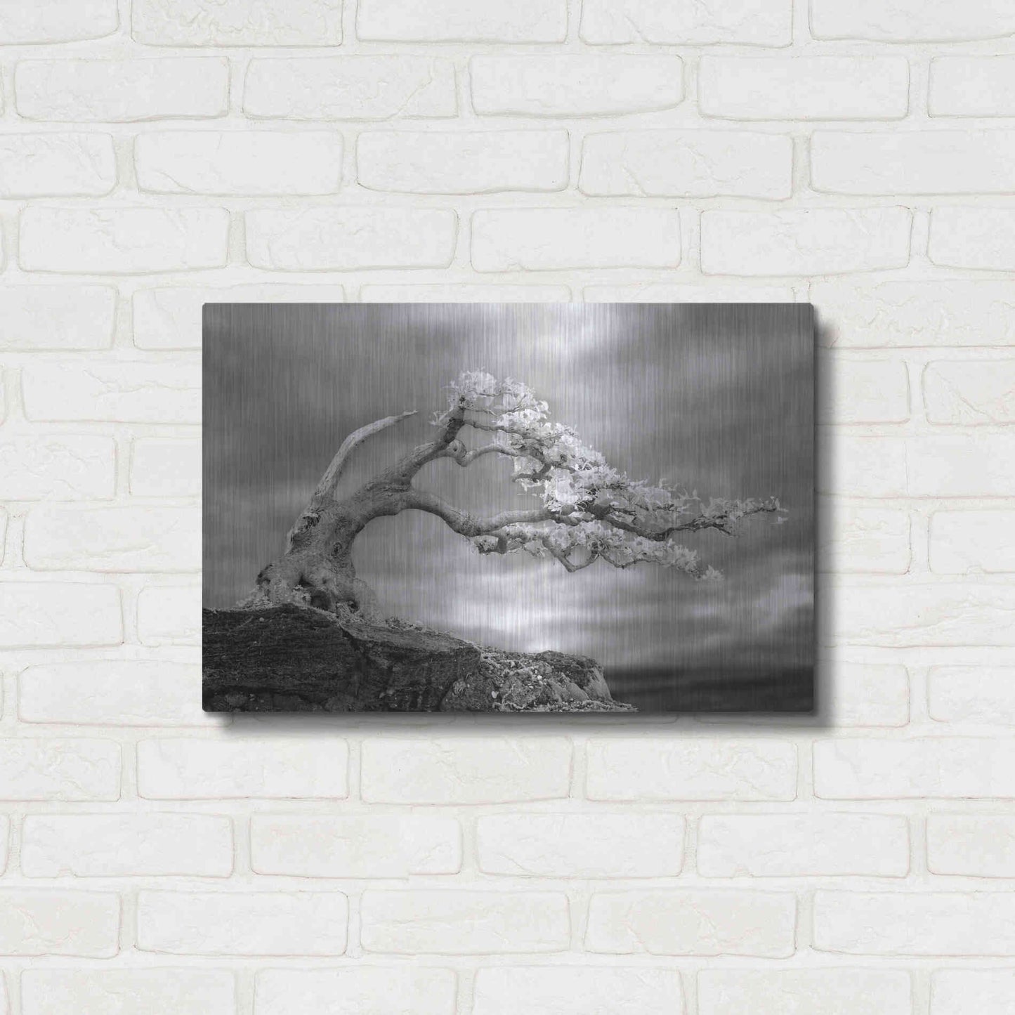 Luxe Metal Art 'Bonzai' by Mike Jones, Metal Wall Art,24x16