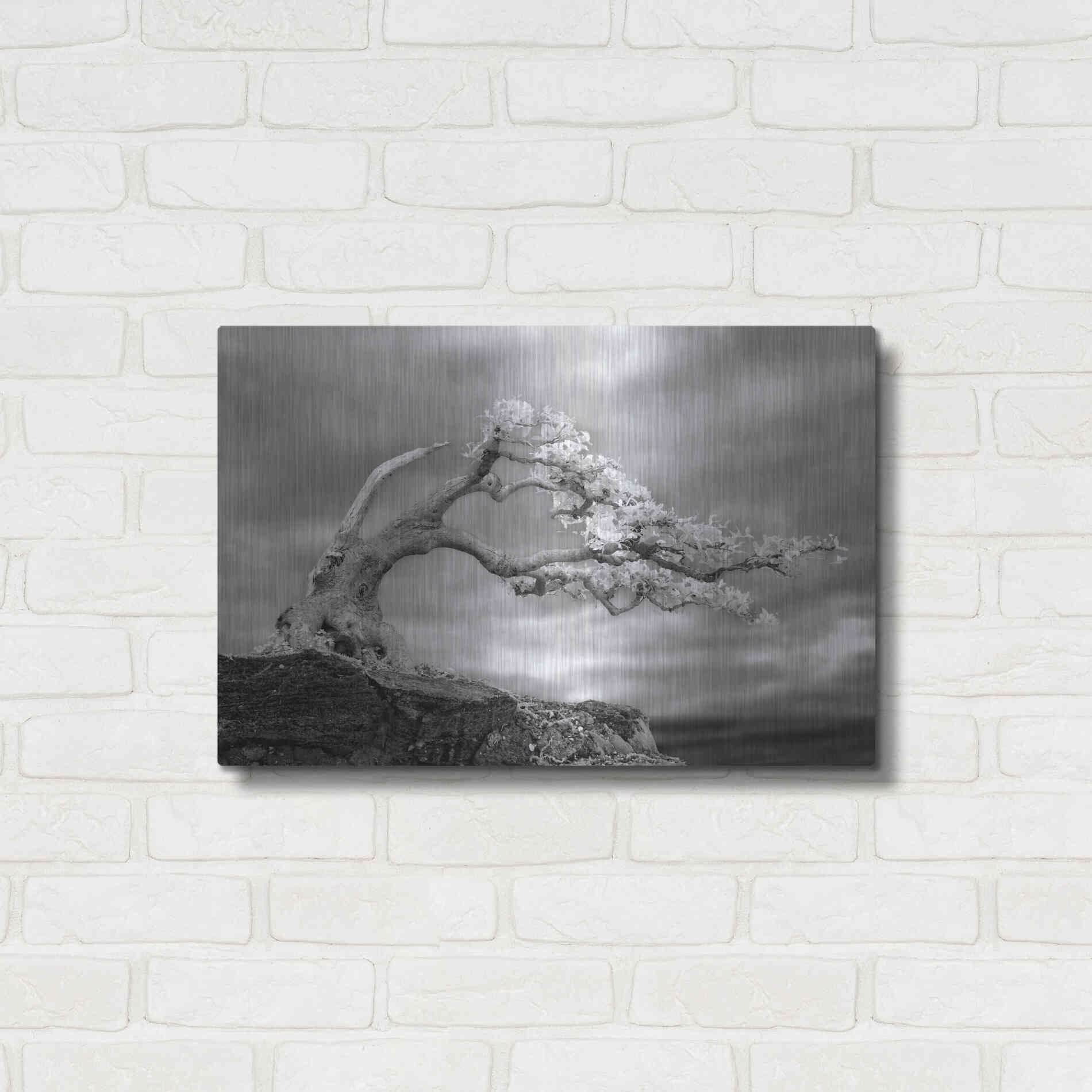 Luxe Metal Art 'Bonzai' by Mike Jones, Metal Wall Art,24x16