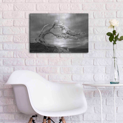 Luxe Metal Art 'Bonzai' by Mike Jones, Metal Wall Art,24x16