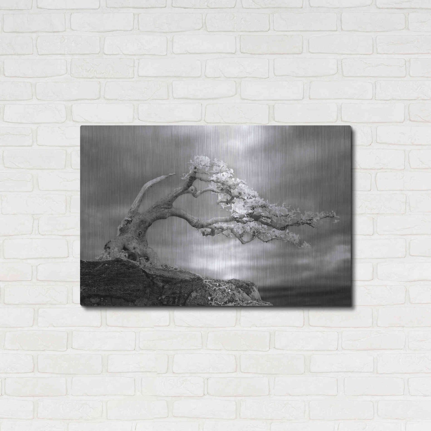 Luxe Metal Art 'Bonzai' by Mike Jones, Metal Wall Art,36x24