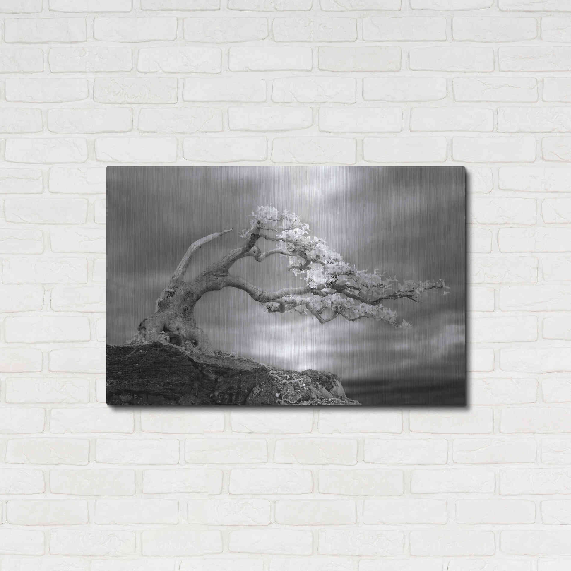 Luxe Metal Art 'Bonzai' by Mike Jones, Metal Wall Art,36x24