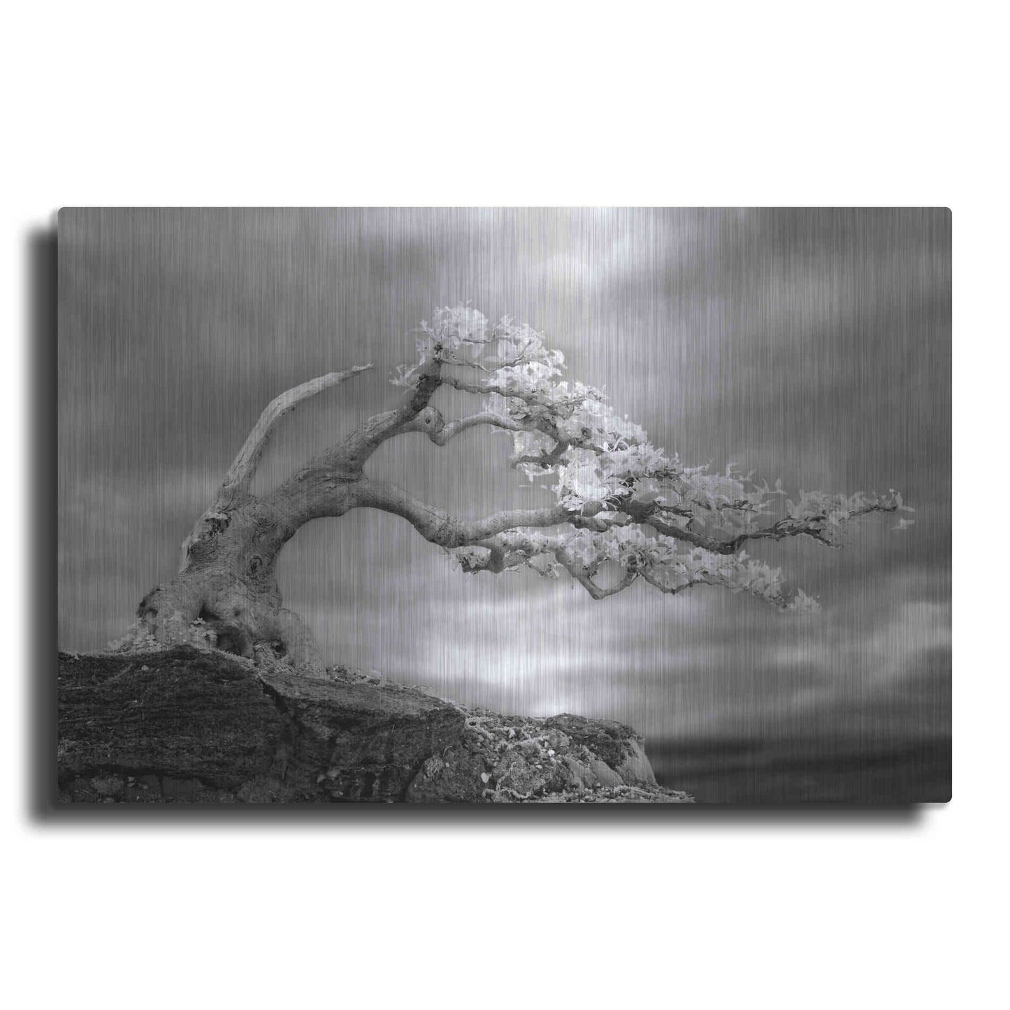 Luxe Metal Art 'Bonzai' by Mike Jones, Metal Wall Art