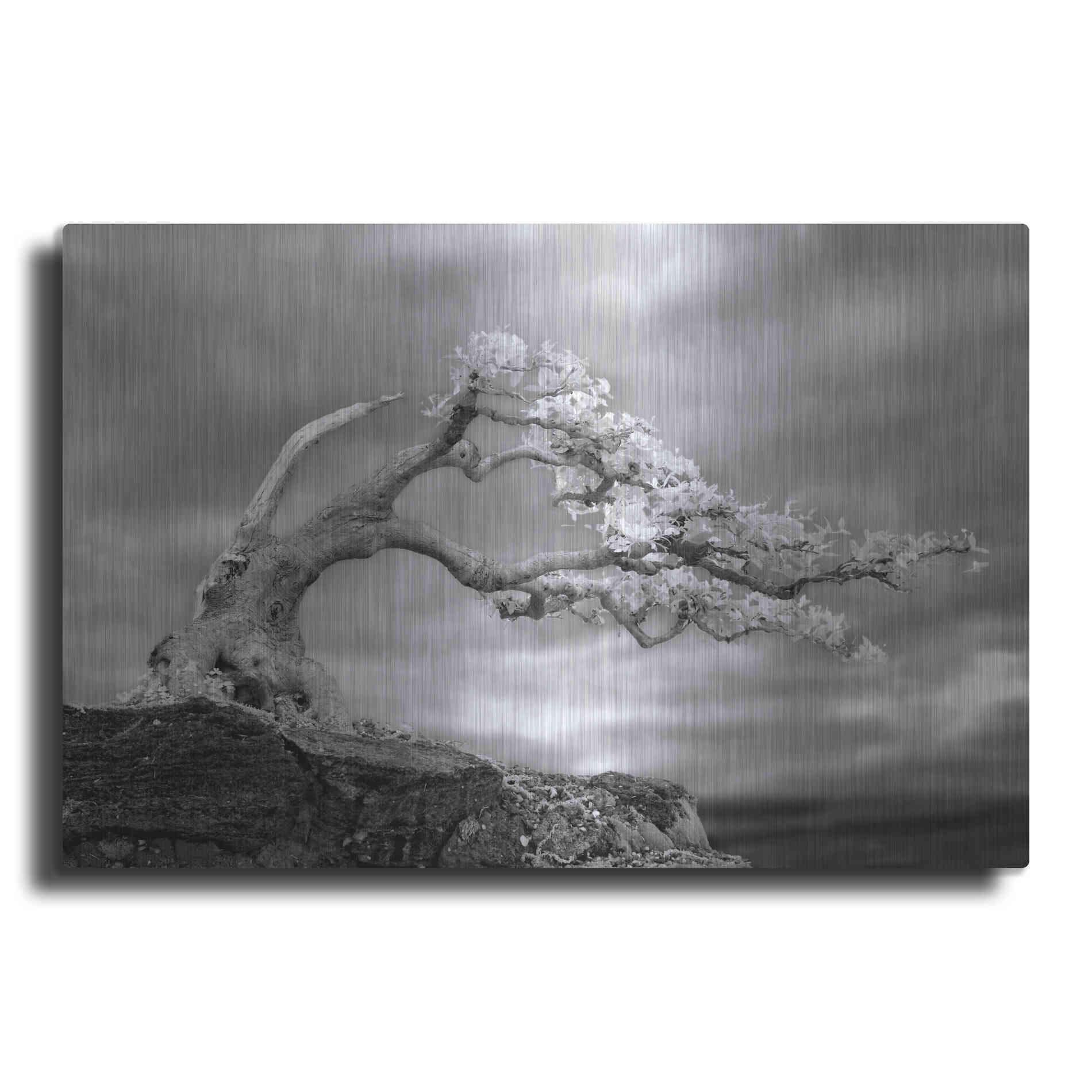 Luxe Metal Art 'Bonzai' by Mike Jones, Metal Wall Art