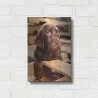 Luxe Metal Art 'Bryce Puppy' by Mike Jones, Metal Wall Art,12x16