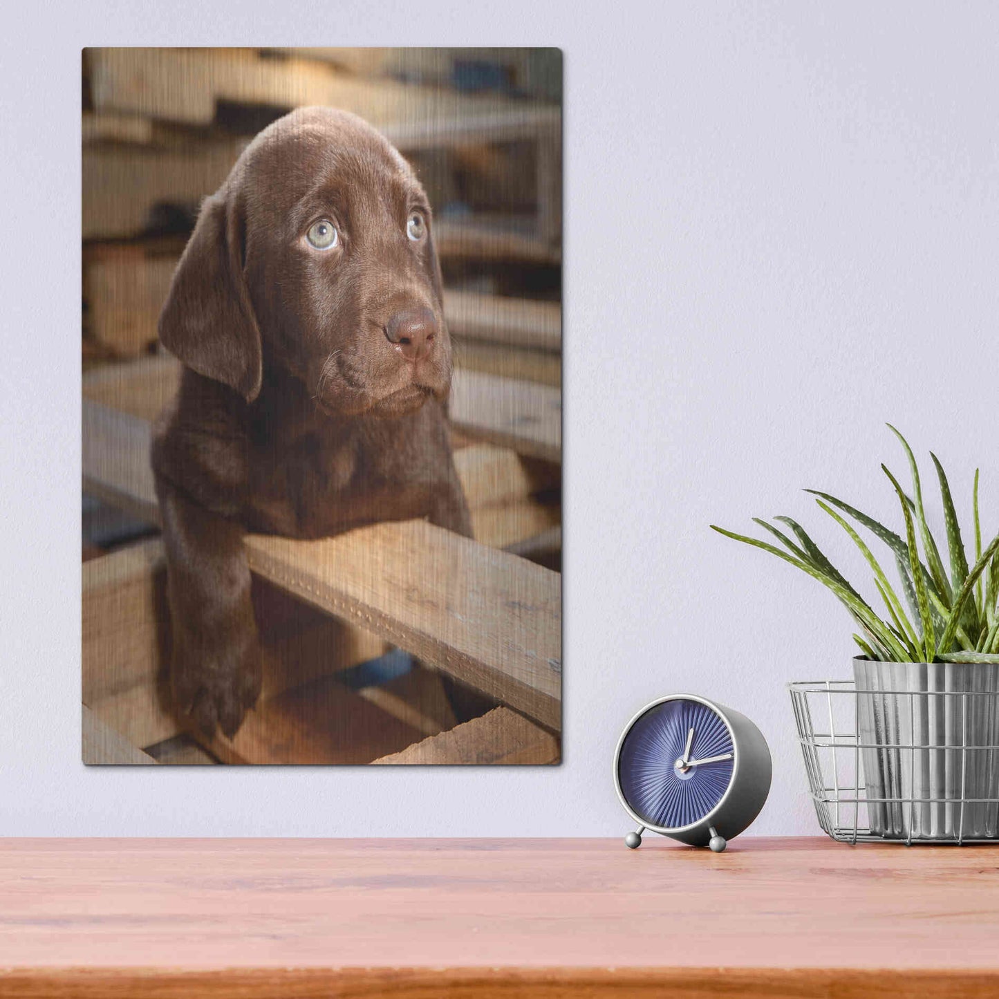 Luxe Metal Art 'Bryce Puppy' by Mike Jones, Metal Wall Art,12x16