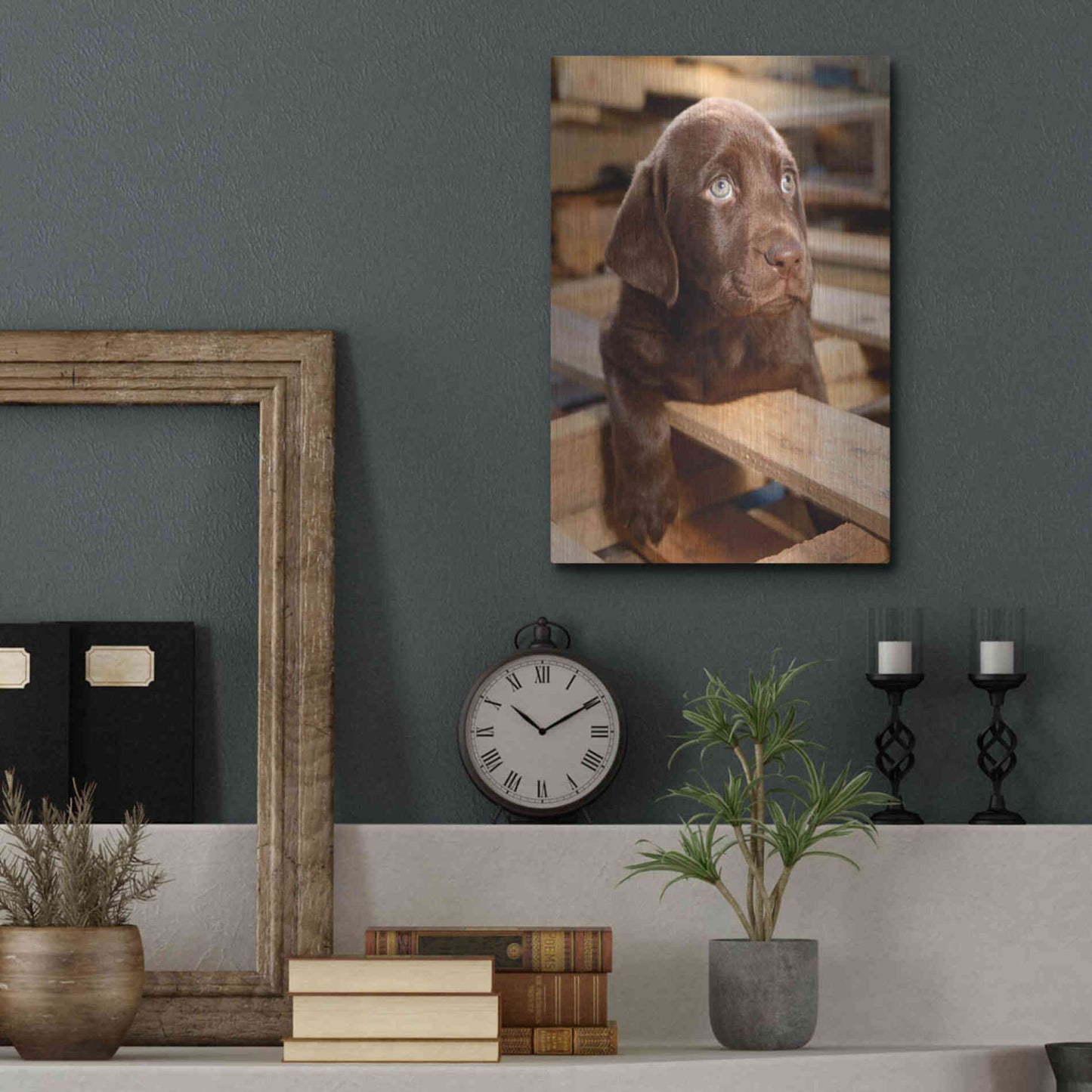 Luxe Metal Art 'Bryce Puppy' by Mike Jones, Metal Wall Art,12x16