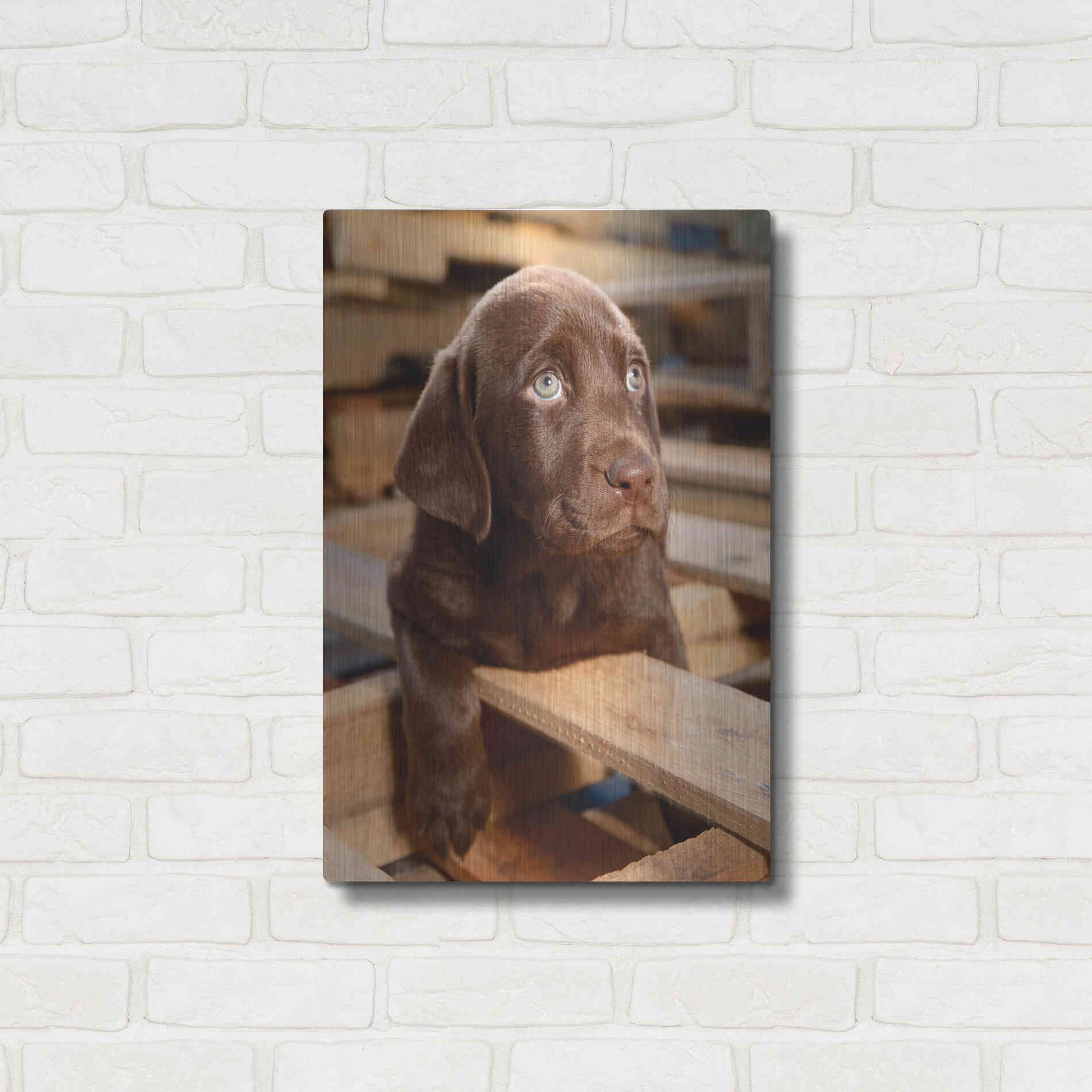 Luxe Metal Art 'Bryce Puppy' by Mike Jones, Metal Wall Art,16x24