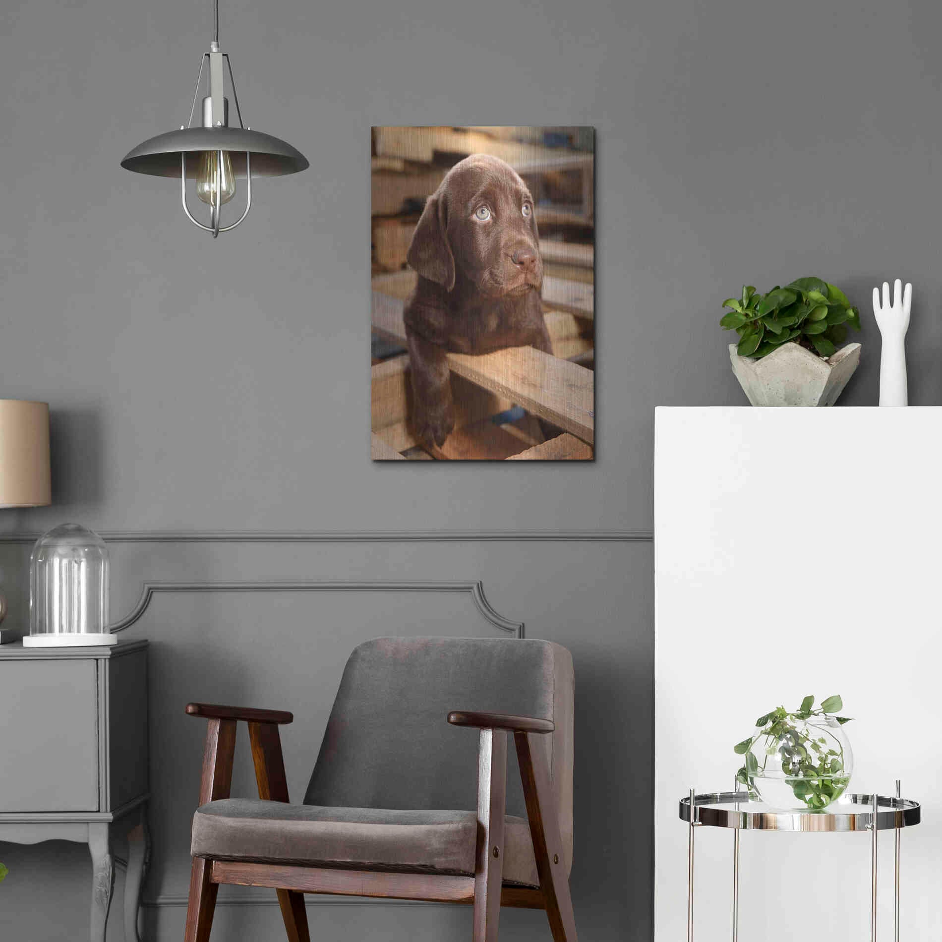 Luxe Metal Art 'Bryce Puppy' by Mike Jones, Metal Wall Art,16x24