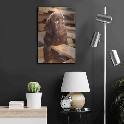 Luxe Metal Art 'Bryce Puppy' by Mike Jones, Metal Wall Art,16x24