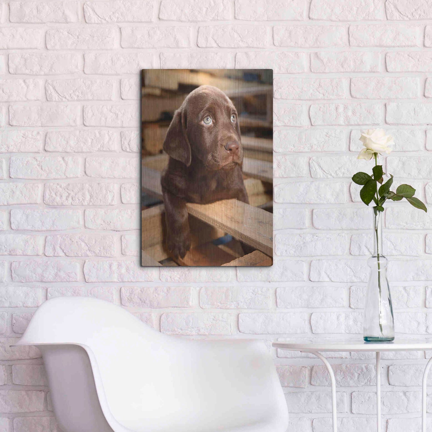 Luxe Metal Art 'Bryce Puppy' by Mike Jones, Metal Wall Art,16x24