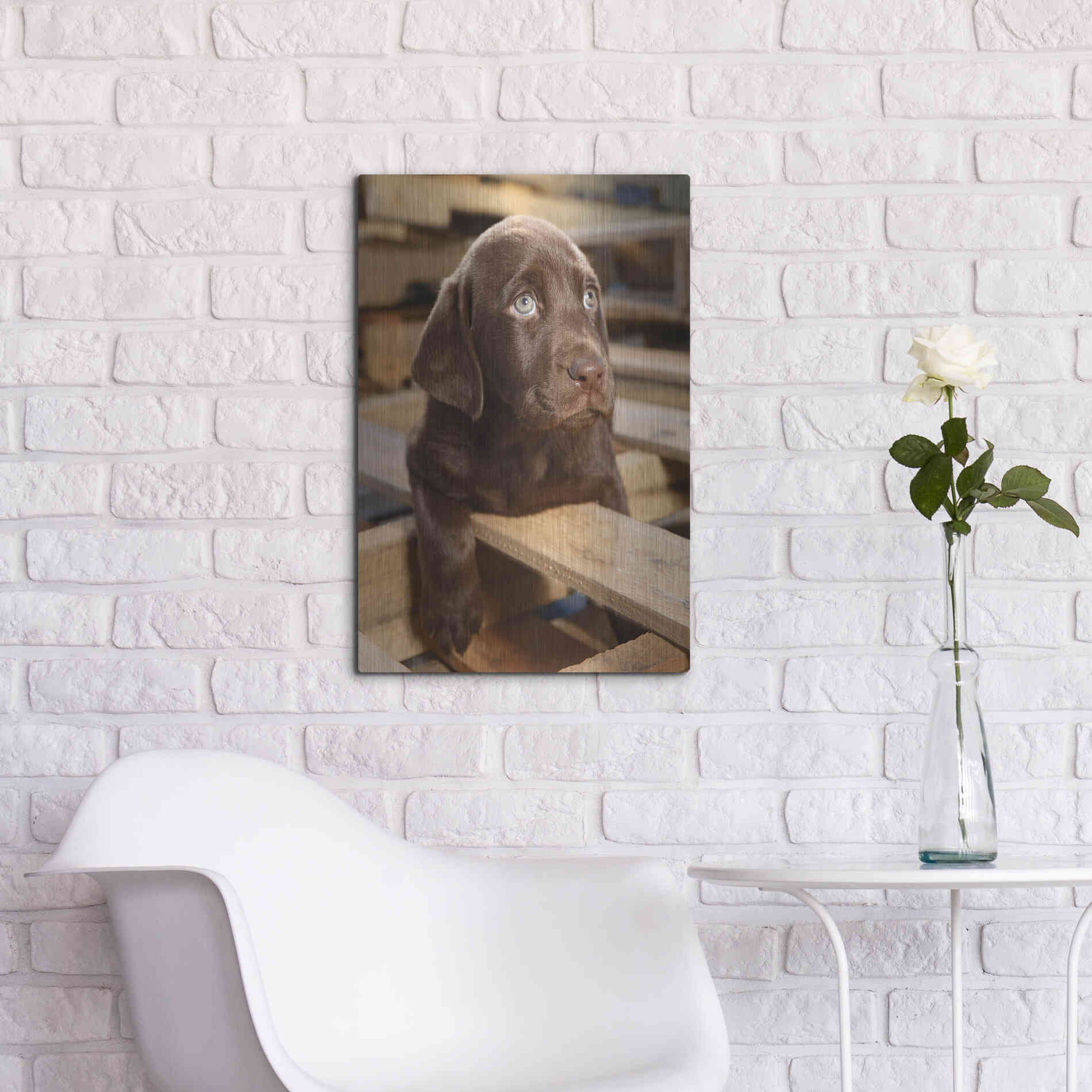 Luxe Metal Art 'Bryce Puppy' by Mike Jones, Metal Wall Art,16x24