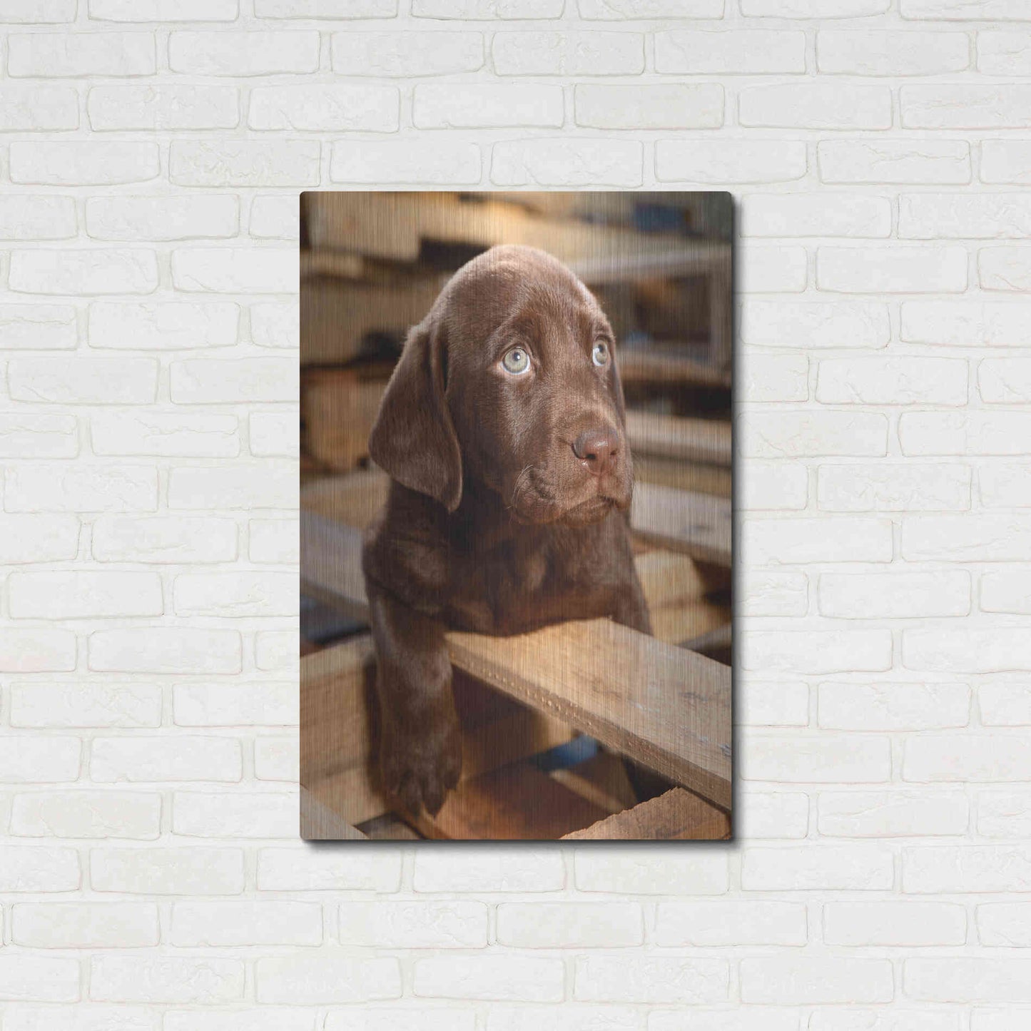 Luxe Metal Art 'Bryce Puppy' by Mike Jones, Metal Wall Art,24x36