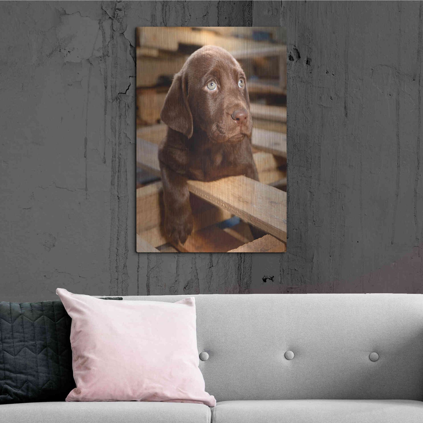 Luxe Metal Art 'Bryce Puppy' by Mike Jones, Metal Wall Art,24x36