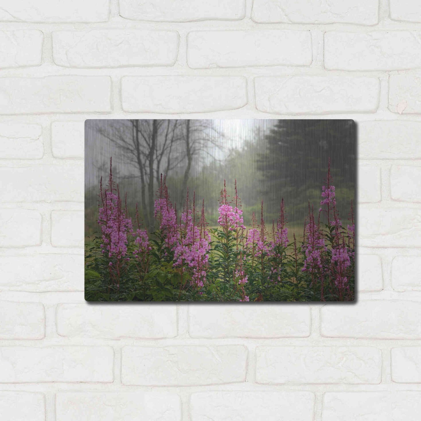 Luxe Metal Art 'Campobello Lupine' by Mike Jones, Metal Wall Art,16x12