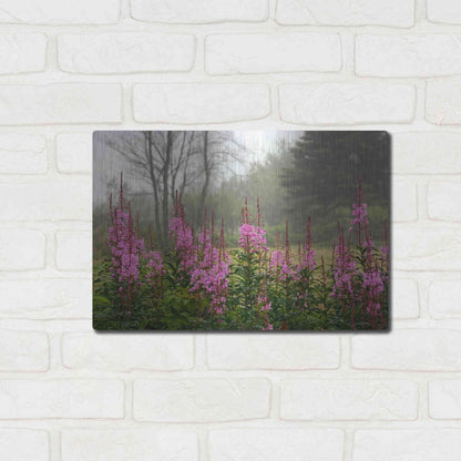 Luxe Metal Art 'Campobello Lupine' by Mike Jones, Metal Wall Art,16x12