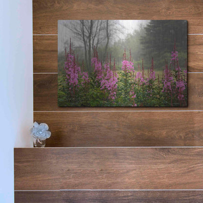 Luxe Metal Art 'Campobello Lupine' by Mike Jones, Metal Wall Art,16x12